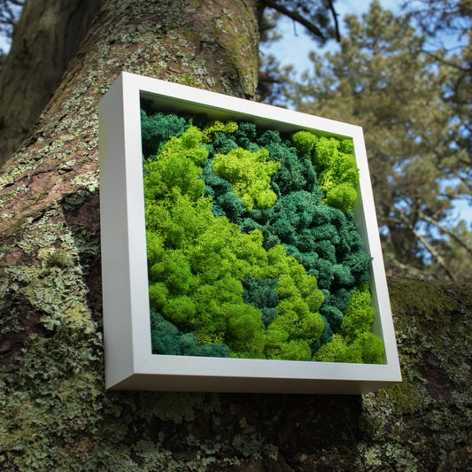 Interior Moss Picture Yin Yang